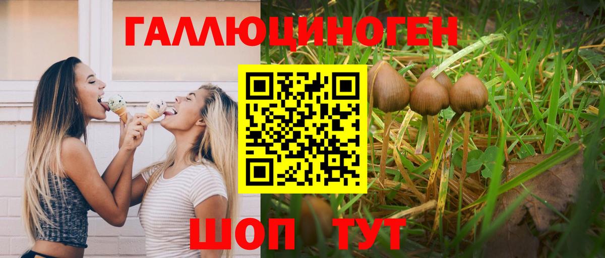 Сокол  Псилоцибиновые грибы мицелий  Галлюциногенные грибы ЛСД  Вход с VPN 