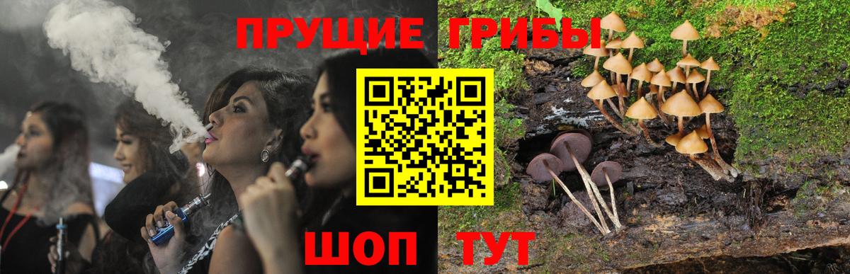 Галлюциногенные грибы мухоморы Сокол