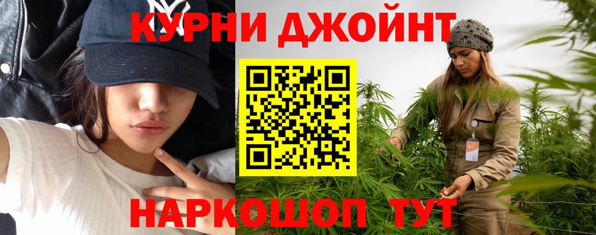 Каннабис семена  Каннабис марихуана  Вход с VPN  Сокол  МАРИХУАНА ГИДРОПОН  Канабис SATIVA & INDICA 